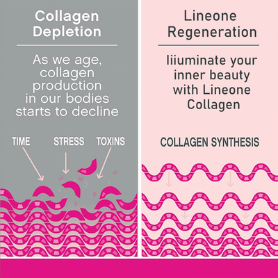 OEM คอลลาเจนโปรตีนเครื่องดื่มผงผลิตภัณฑ์เพื่อความงาม Hydrolyzed Fish Collagen คอลลาเจนเปปไทด์