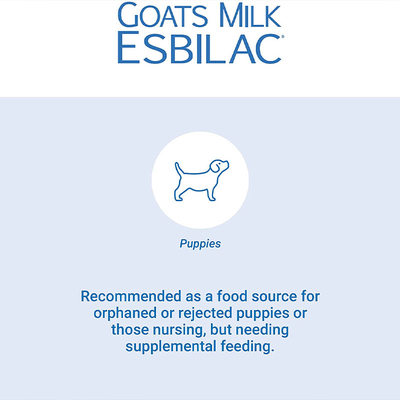 OEM Vitamin Rich Colostrum Nutrition นมผงแพะไขมันเต็มสำหรับลูกสุนัขและลูกแมวอาหารเสริมสุนัข