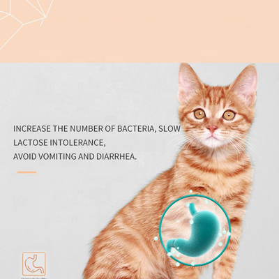 Kittens OEM Cat Milk Supplement อาหารเสริมดูแลสุขภาพสัตว์เลี้ยง