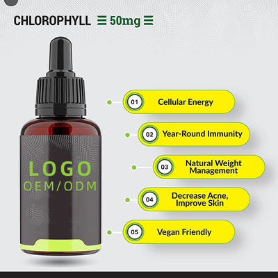 OEM/ODM Chlorophyll Liquid Drops For Water Peppermint Flavoured For Skin Health Immune Support Energy Support